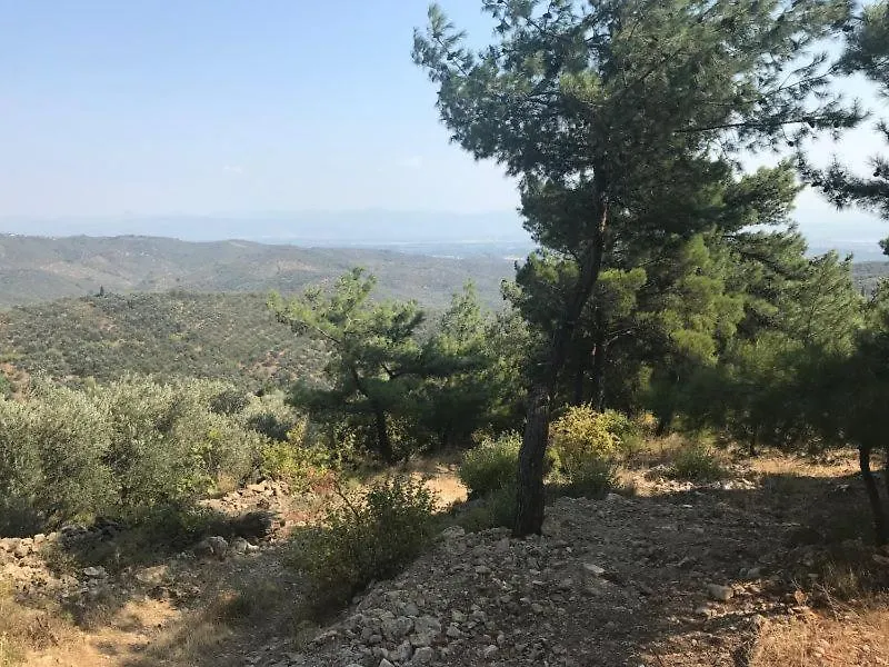 Ida Bay Bungalows Edremit  0*, Edremit (Balikesir)